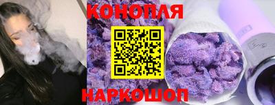 индика Аргун