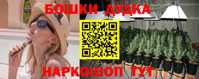 индика Аргун